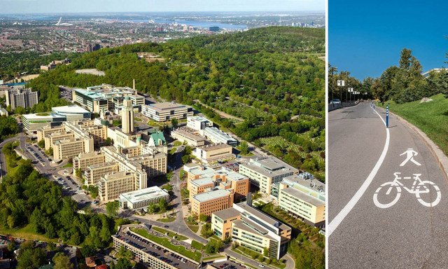 Université de Montréal et Championnats mondiaux de cyclisme